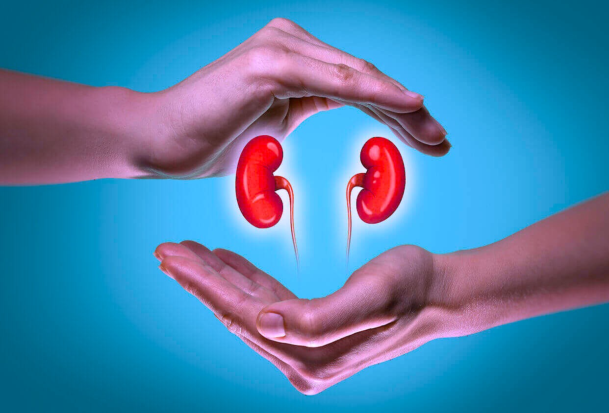 What Happens to Your Kidneys When You Quit Sugar for 30 Days