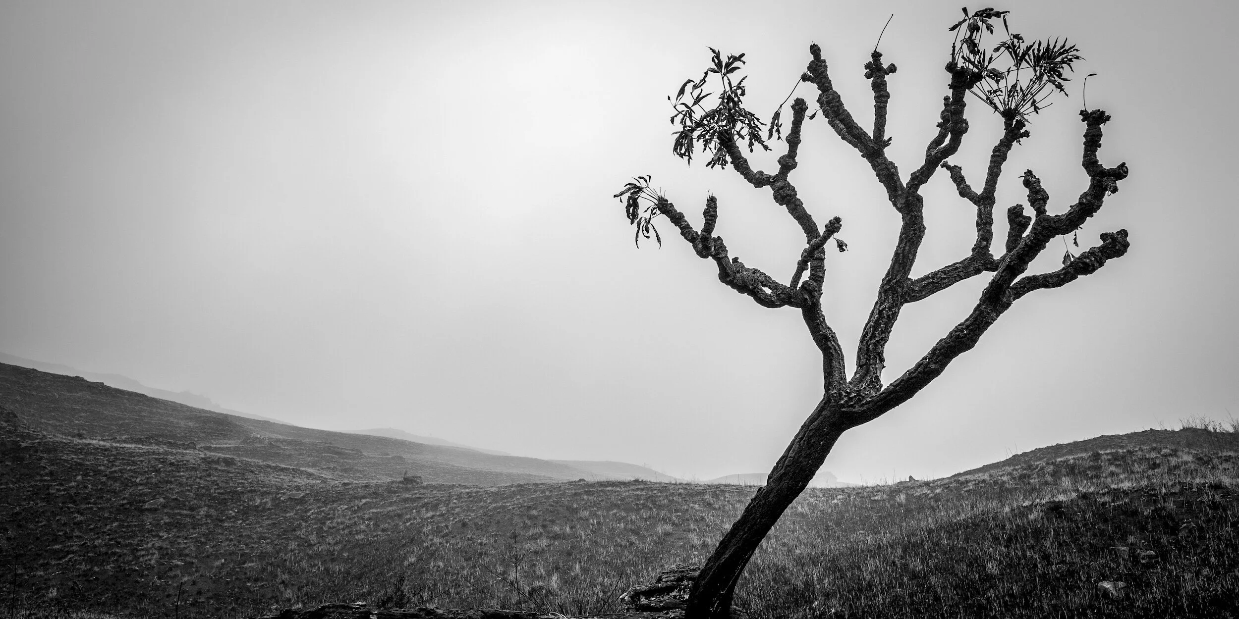 10 Everyday Things That Are Slowly Killing You