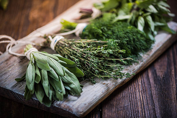 Top Herbs That Improve Digestion Naturally